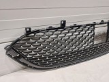 Lower Grille